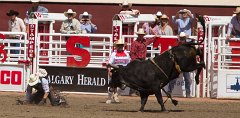 Calgary Stampede-2075